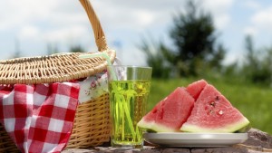 Outdoor picnic on at sunny day